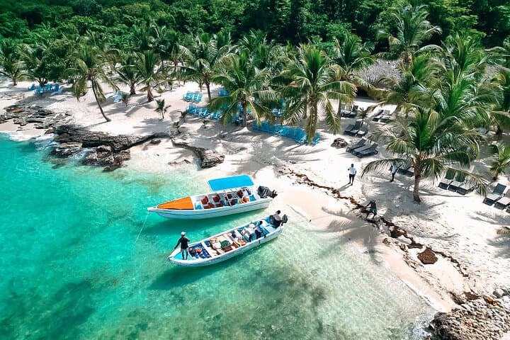 Isla Saona Speedboat Adventure - Lunch, Wildlife & Natural Pools