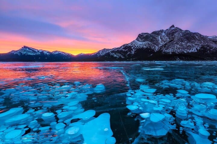 Ice Bubbles at Abraham Lake/Sunwapta Falls
