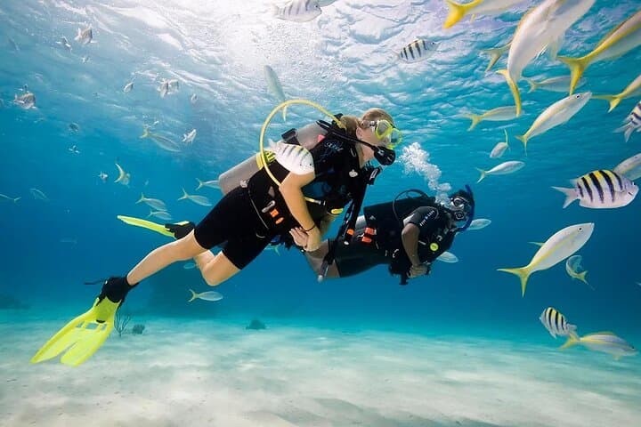 Scuba Diving Sea Trip with Lunch and Transfer from Hurghada 