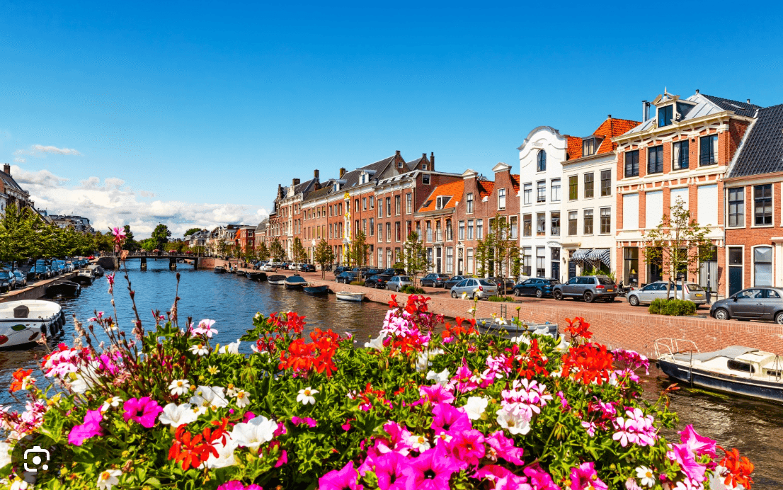 From Amsterdam by train: Haarlem walking tour from Amsterdam