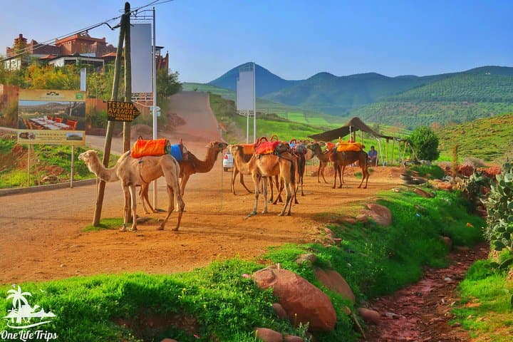 Private Atlas Mountains Day Trip