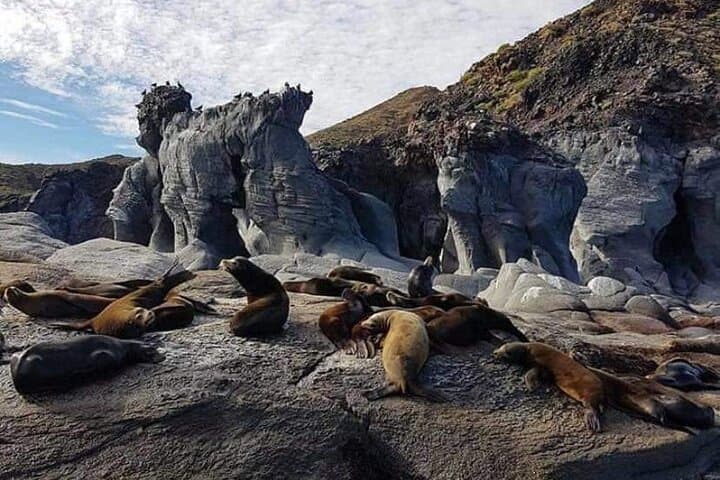 UNESCO World Heritage Site: 1 Day Coronado Island from Loreto Adventure