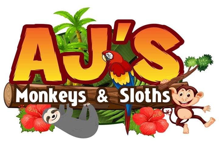 AJ's Sloth Family Excursion, City Tour & Transfer