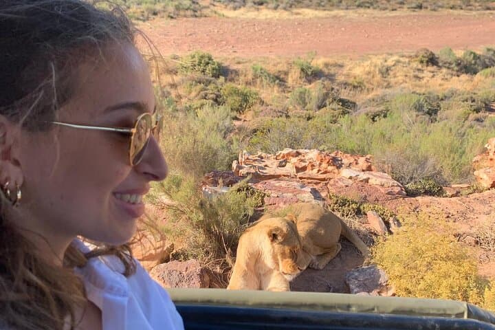 6 Days Garden Route Experience First Splendor & wonders of region