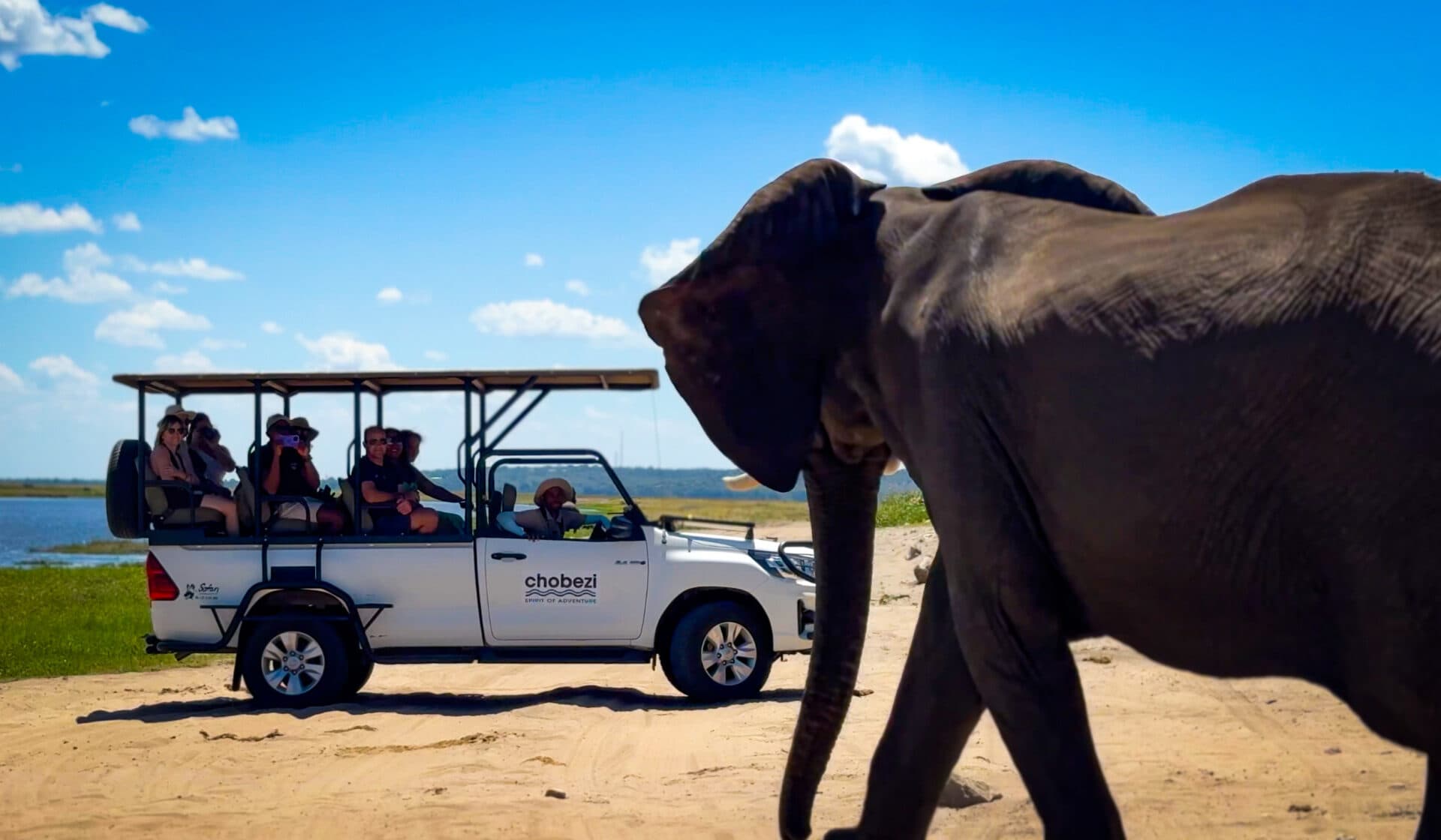 Chobe Day Trip