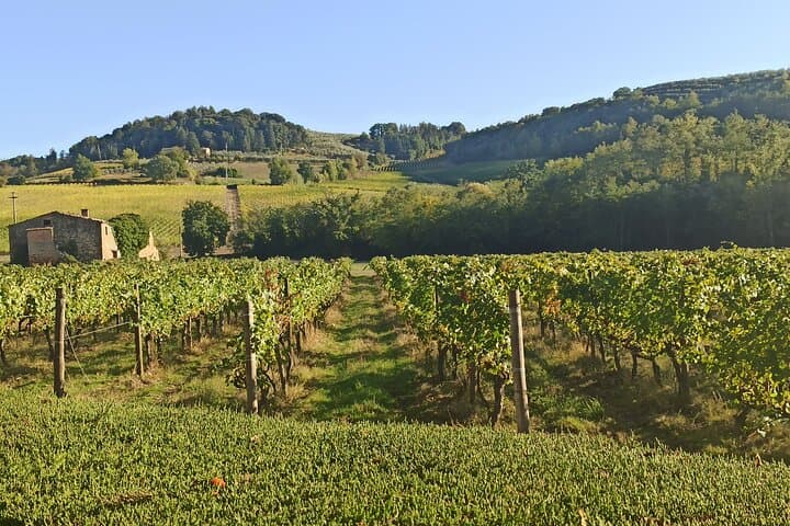 PRIVATE TRANSFER: Florence to Siena with private Minivan