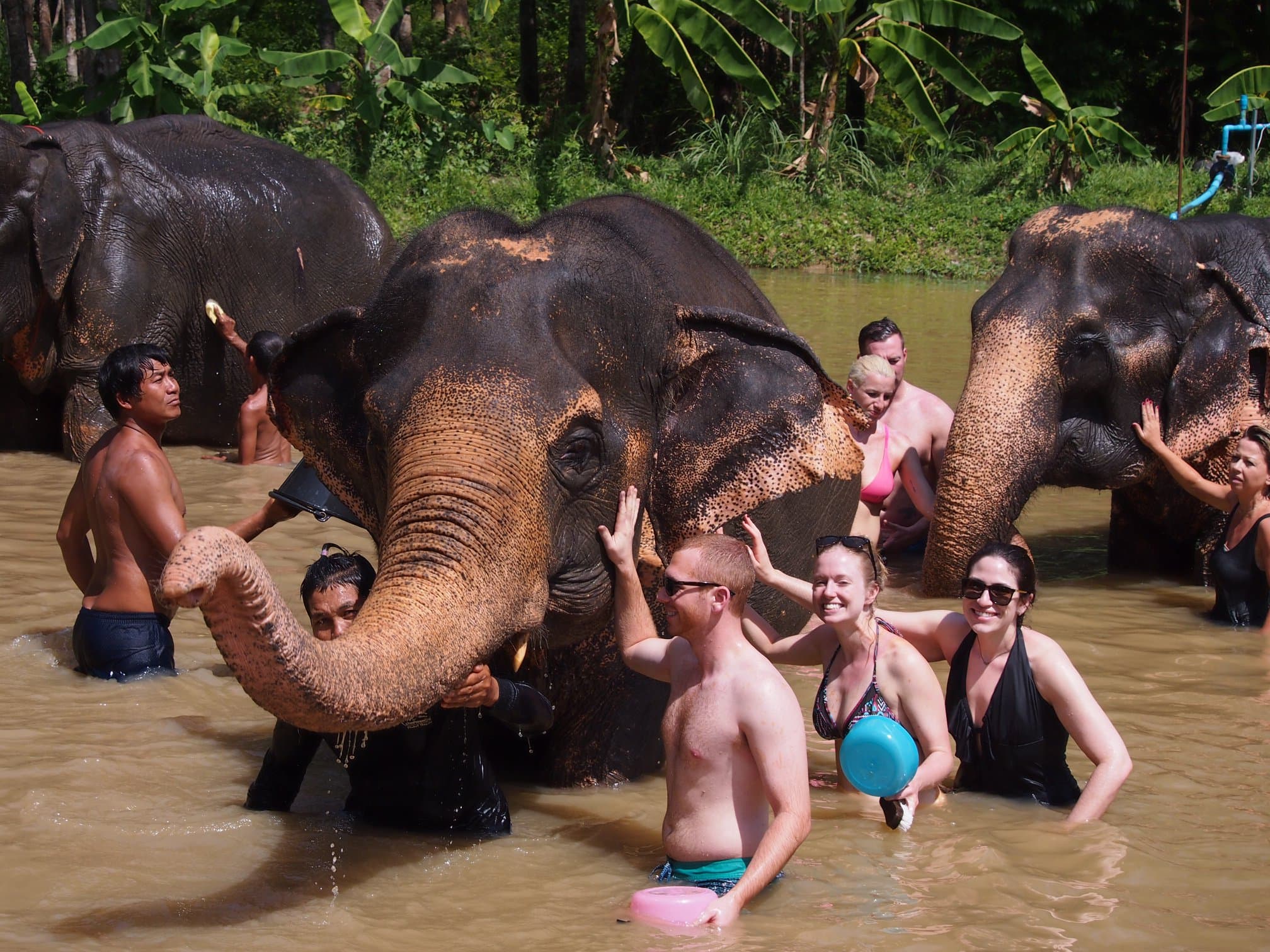 Koh Samui: Ethical Elephant Sanctuary Interactive Tour (EJS Samui)