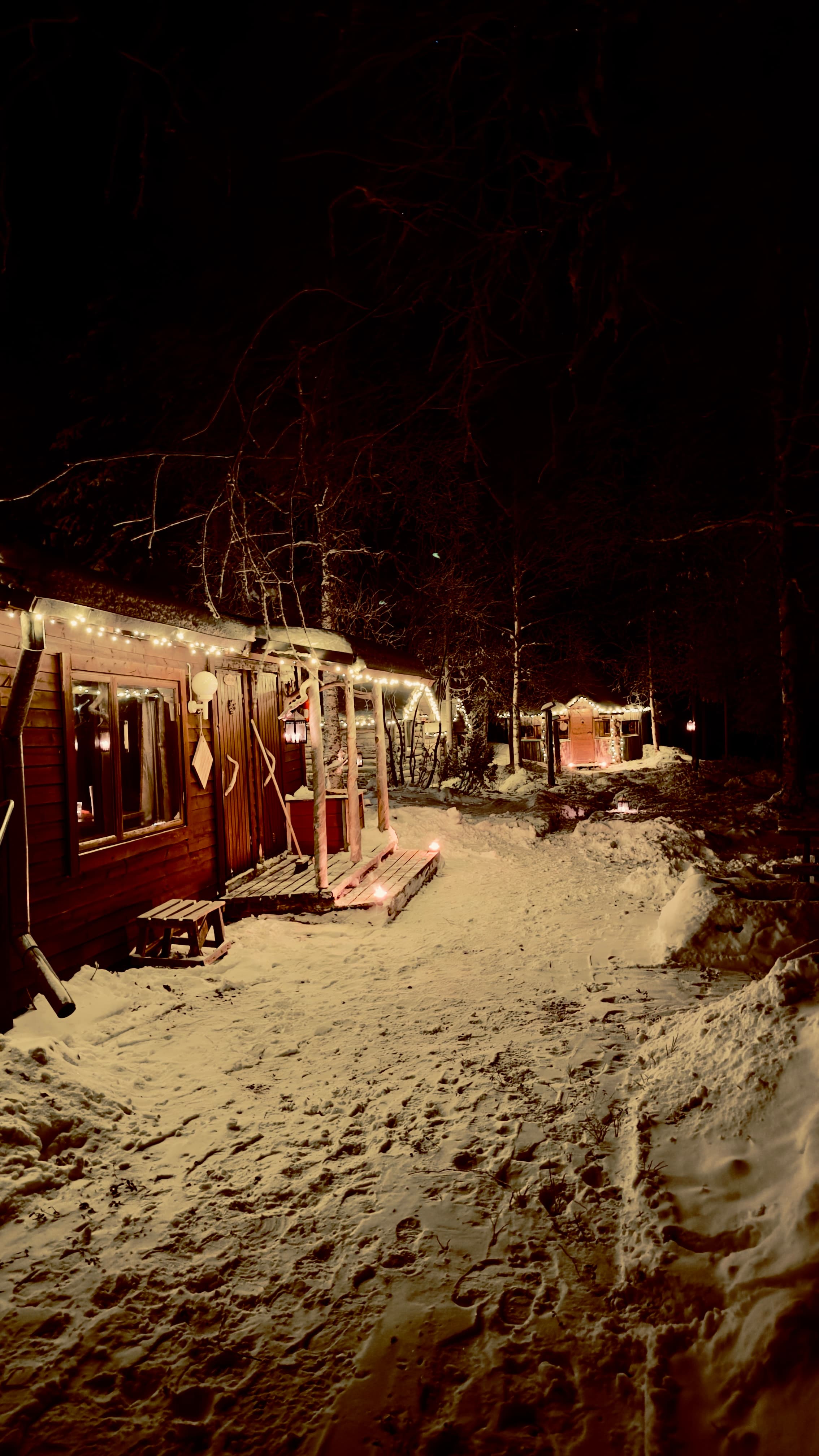 Arctic Private Sauna Experience