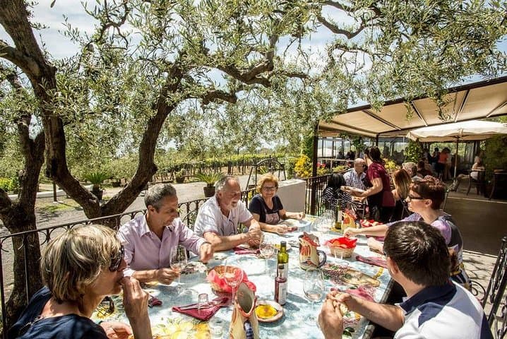 Wine & Food Tour at the Vesuvius Winery