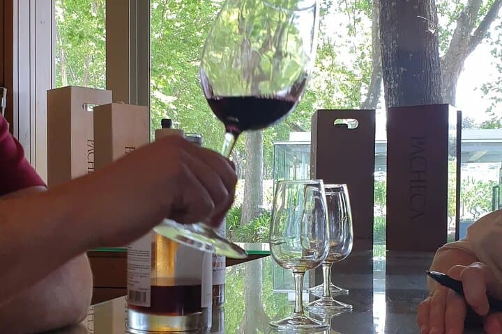 Douro Valley Tour Wine and breathtaking views