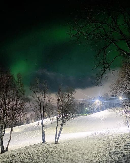 Evening tour: Sledding, mini skiing and local traditions with lasso and reindeer hides