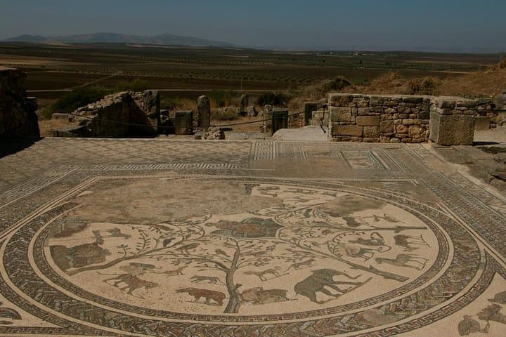 Private Tour from Fez: Meknès and Roman Ruins of Volubilis 