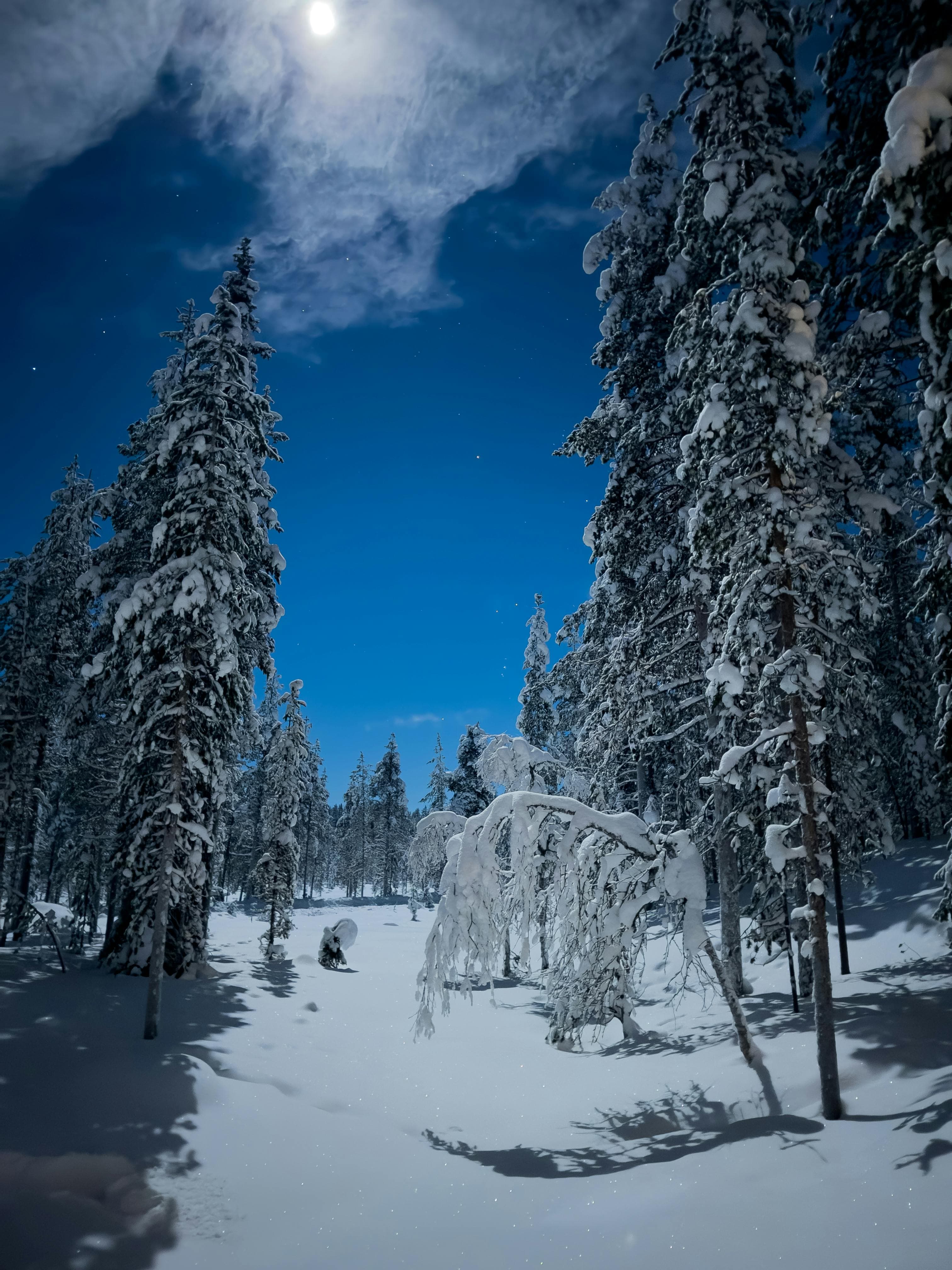 Private Midnight Snowshoe Trip