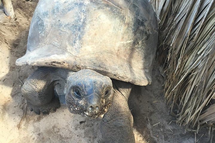 St Anne Marine Park & Moyenne Island, Creole Lunch (Private Boat)
