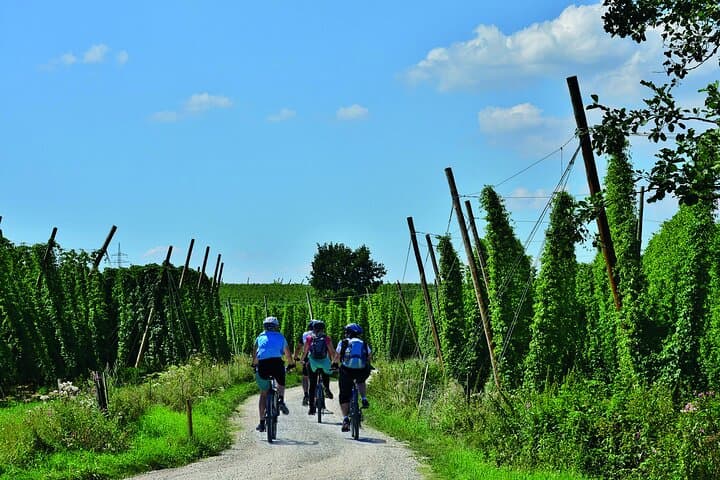 Cycling Tour Hallertau - Classic