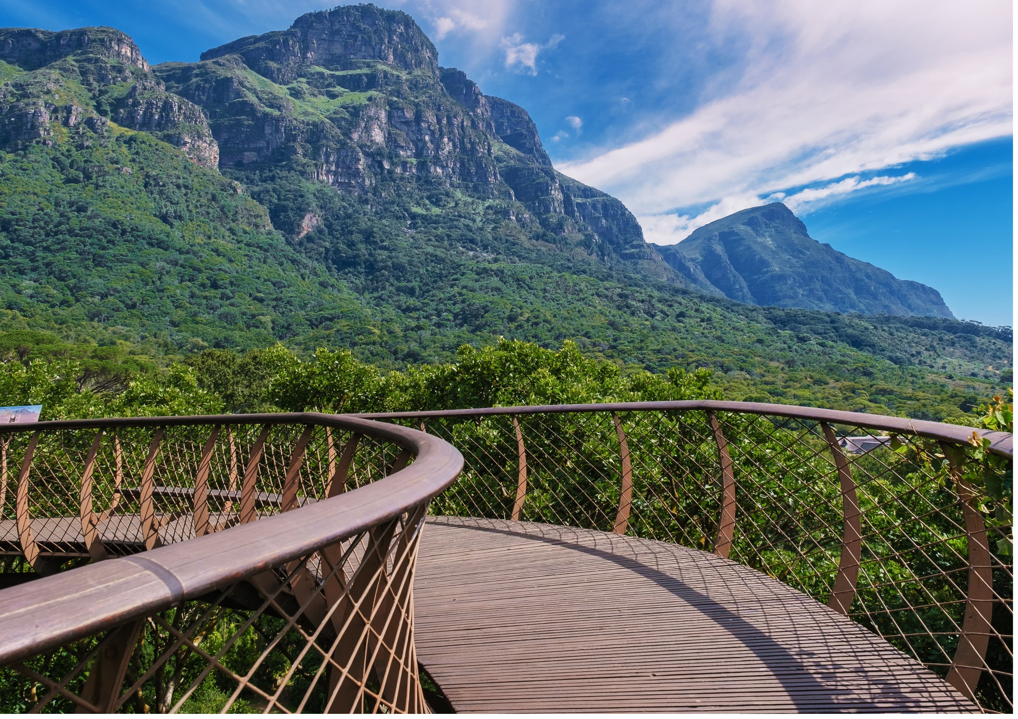Skeleton Gorge to Maclear’s Beacon: Guided Table Mountain Ascent