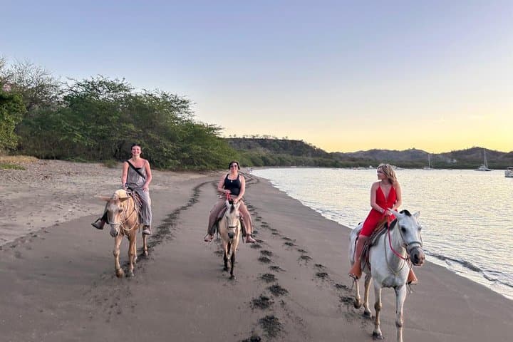 Private Horseback Riding Tour In Costa Rica - Jungle & Beach