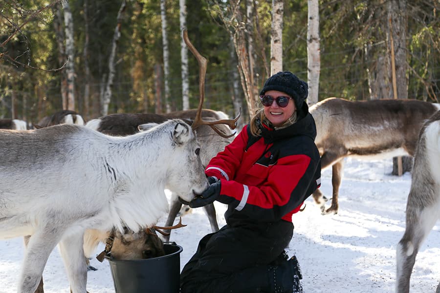 Reindeer Herder's Day with lunch and snowmobile sled, Levi