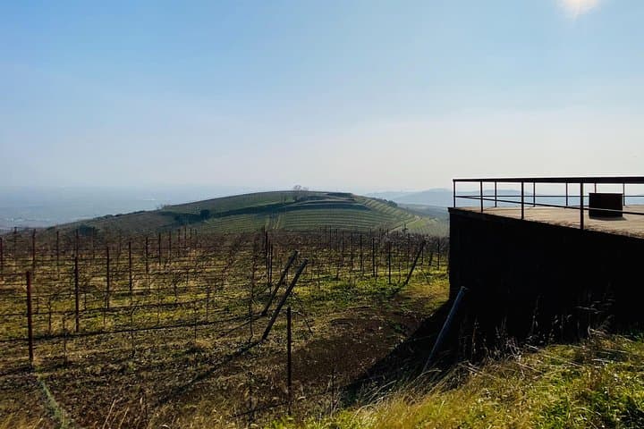 Private scenic transfer from Venice to Florence and vice versa