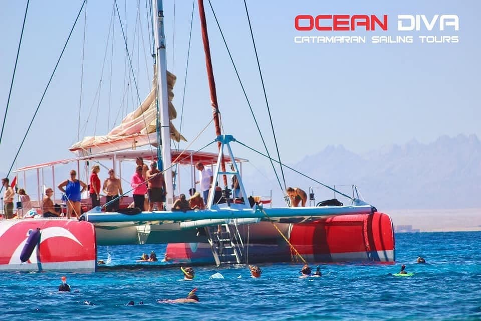 Ocean Diva Catamaran 
