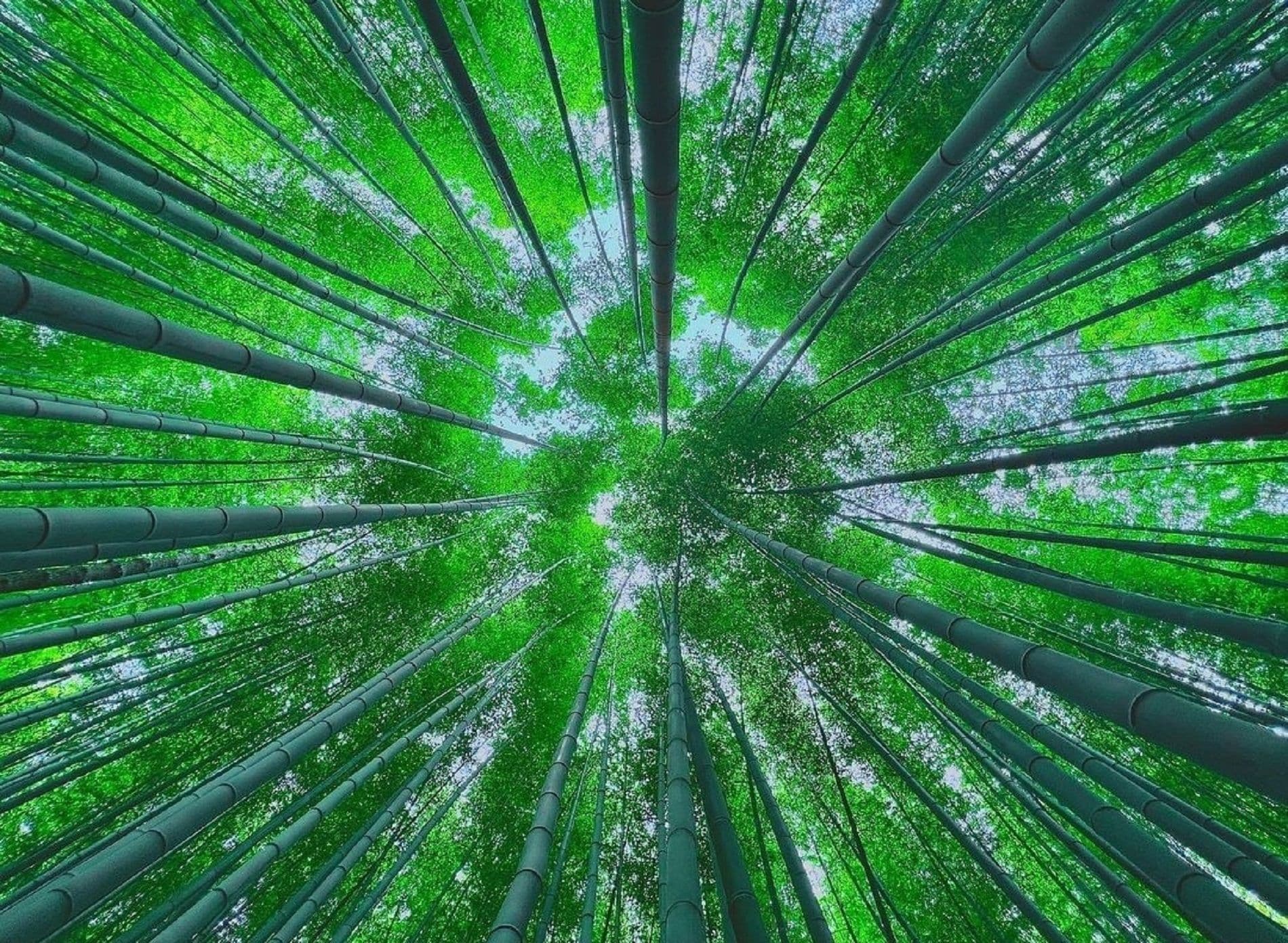 Busan Hidden Gems Private Tour and Car Service