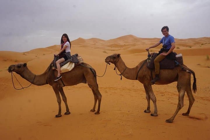 3 Days Tour From Marrakech To Fez Via Merzouga Desert, Camel Ride