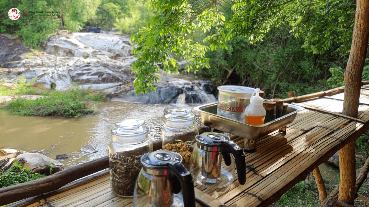 Chiang Mai: Ethical Elephant Sanctuary Full Day Tour & Lunch