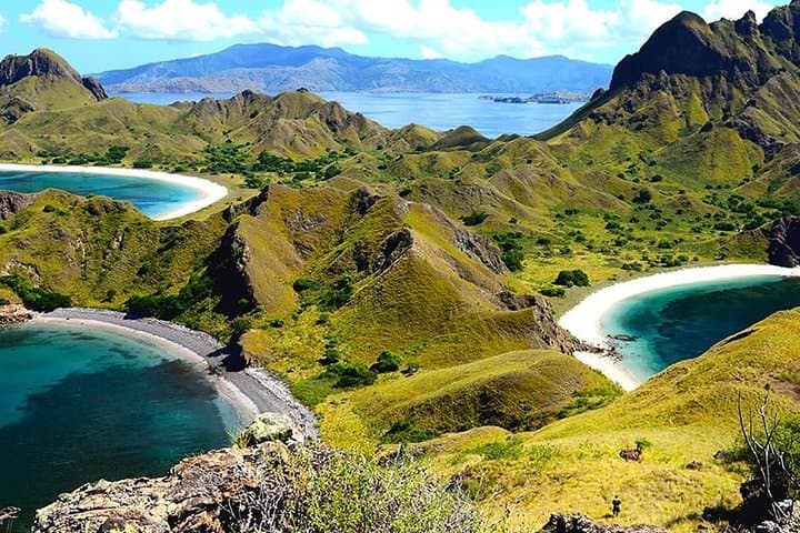 1- day Komodo island Tour hopping around by Speed Boat
