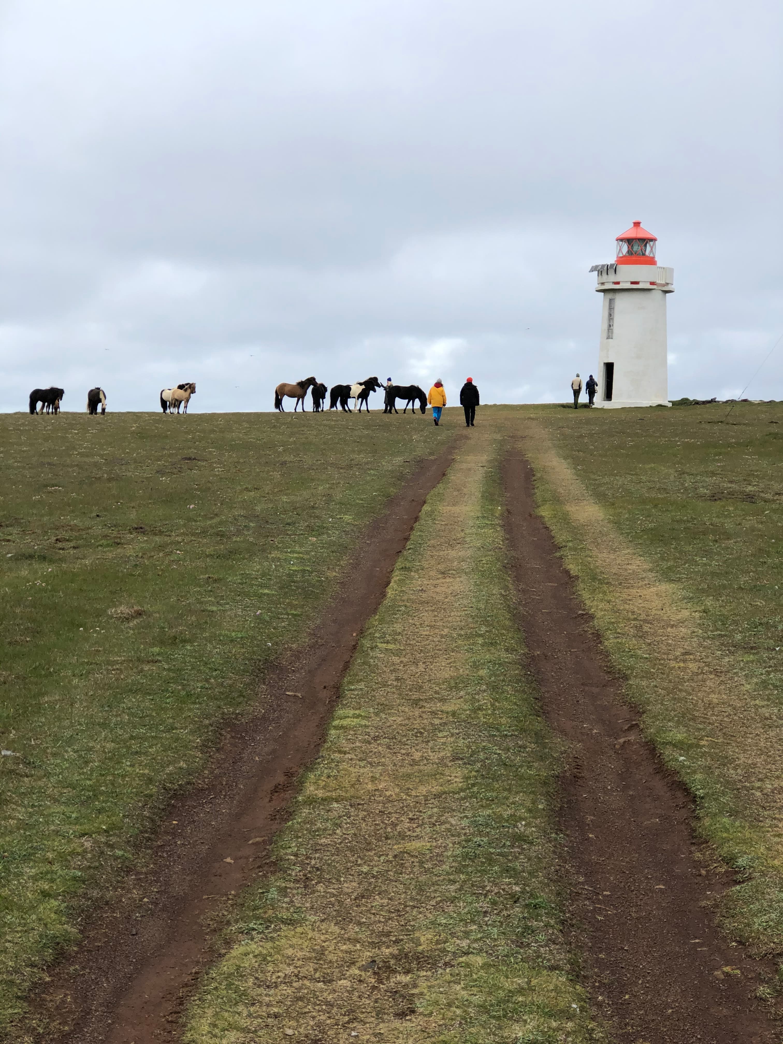 Hiking hidden trails 