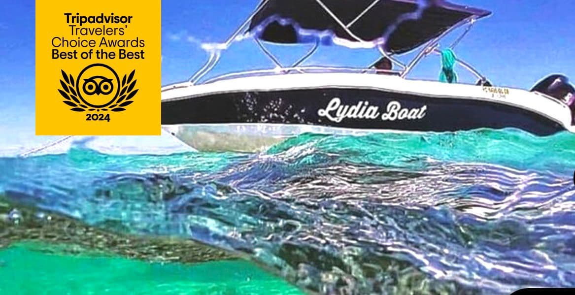 Lydia Boat Mauritius • Eco-Friendly Whales & Dolphins Watching • Exclusive Full-Day Adventure + BBQ on Benitier Island