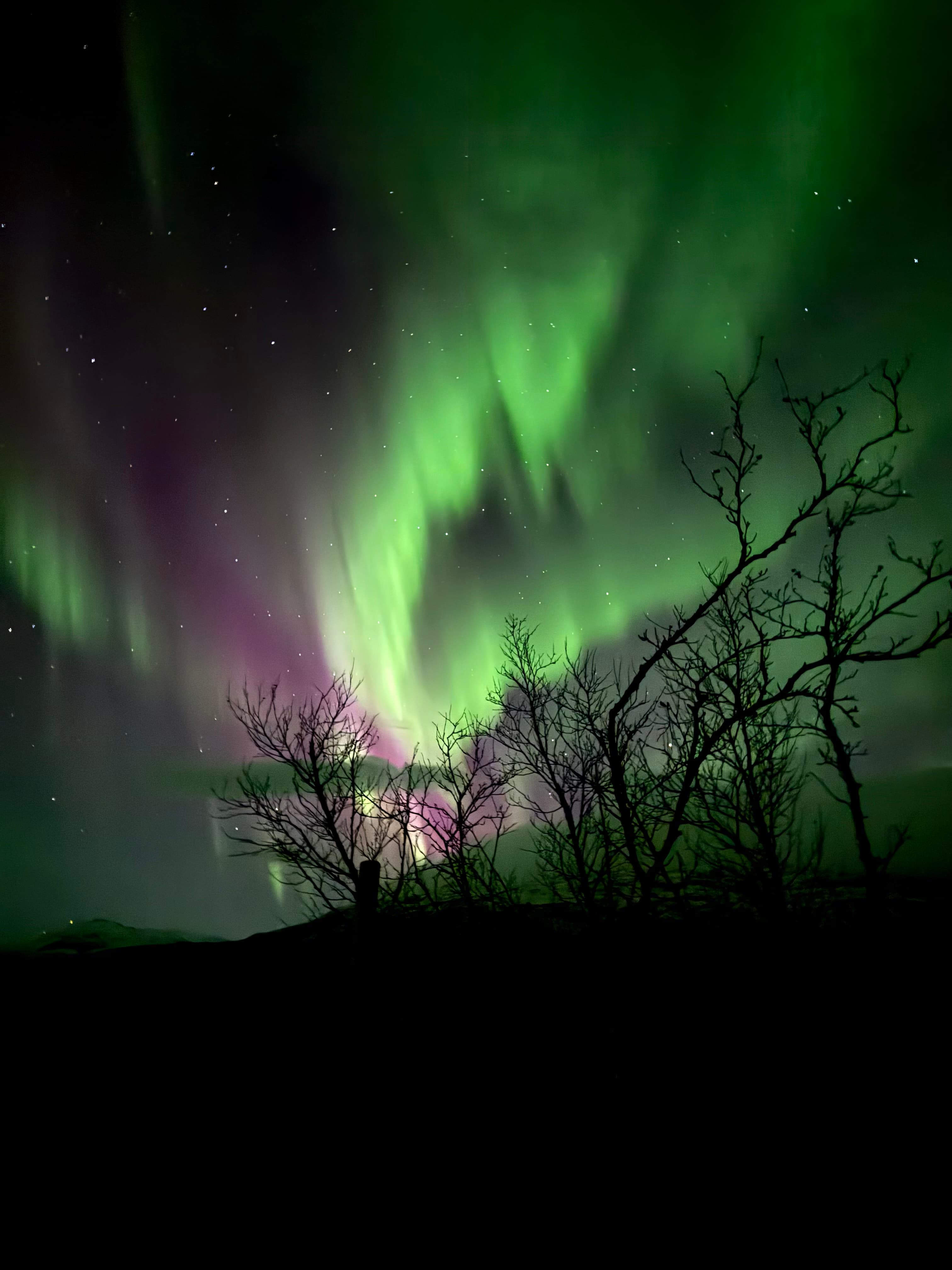 Northern Lights Chase - Will the powers of the Northern Lights dance for us this evening? 