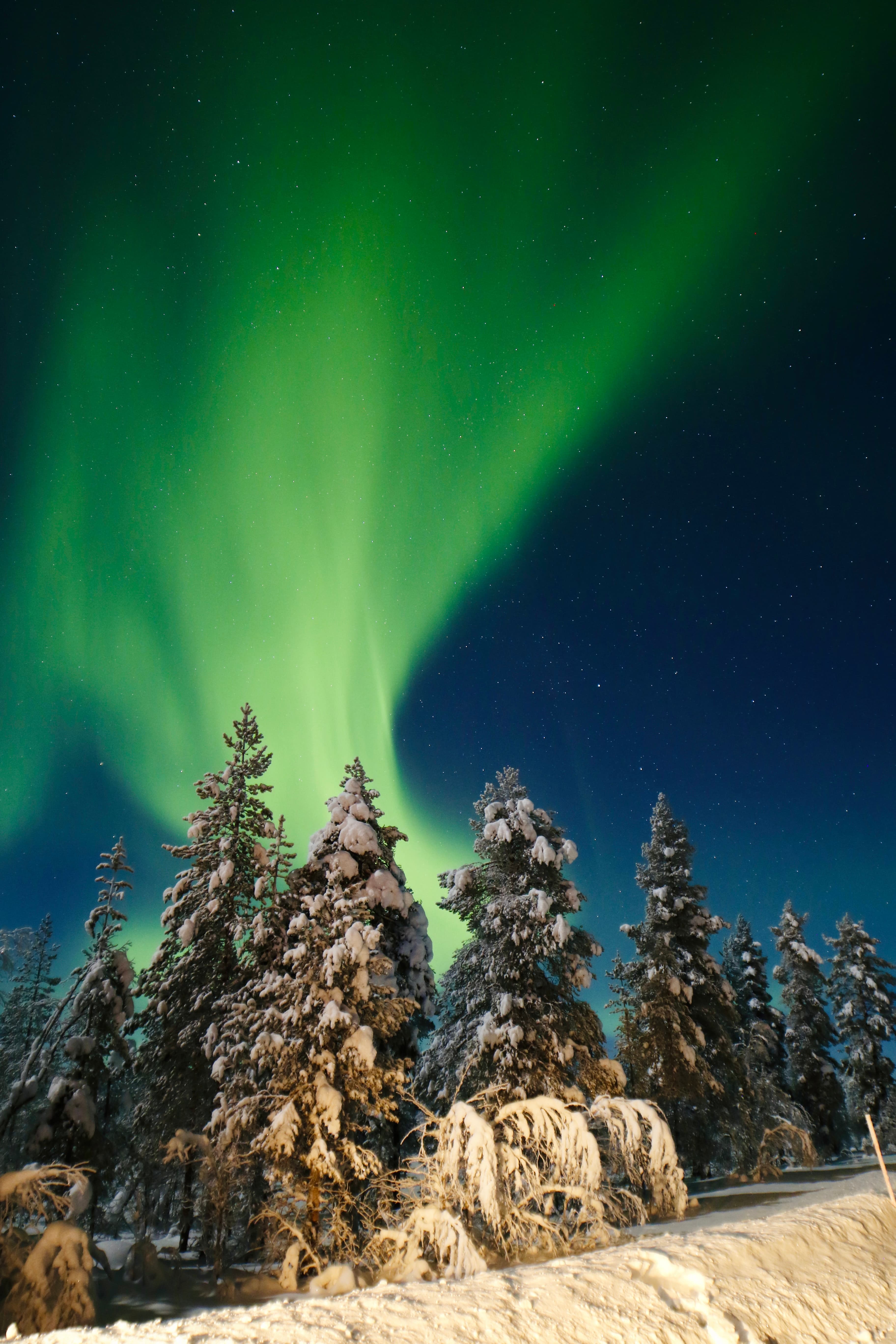 Nighttime Snowshoe Adventure in Levi
