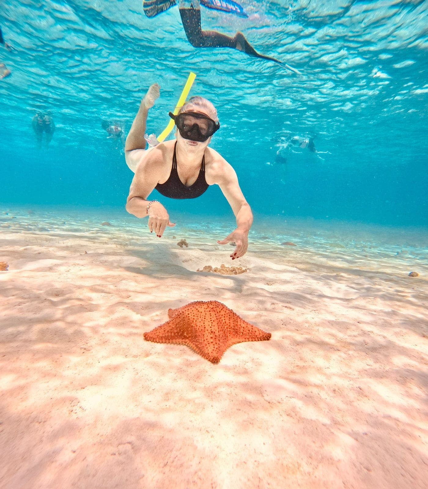 Excursion a Cozumel desde Cancun
