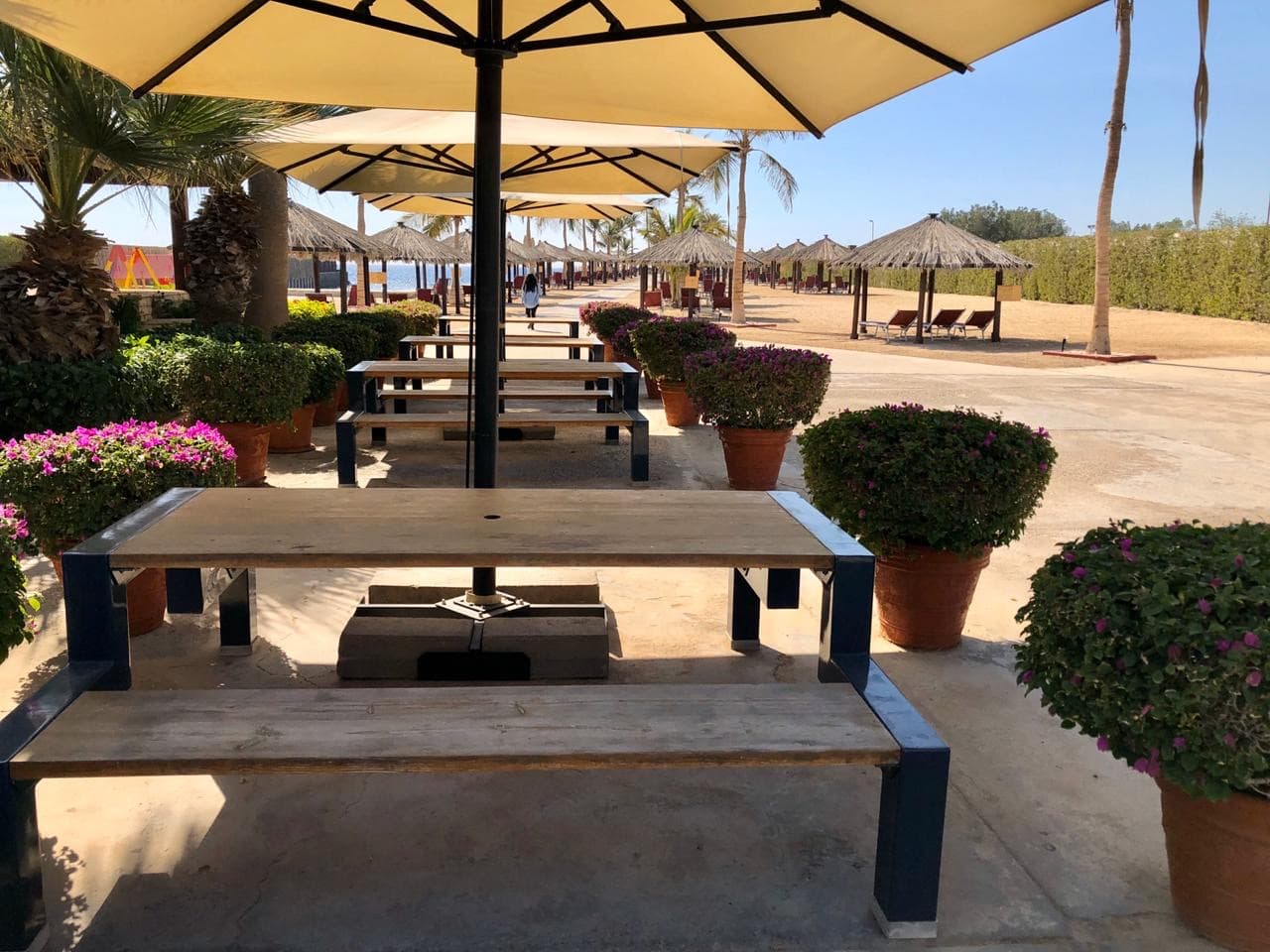 Swimming and Snorkeling day access at Sheraton Red Sea resort