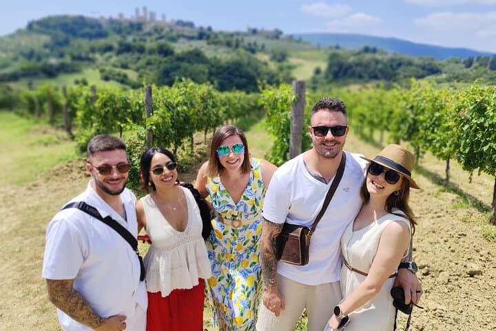 Tuscany Wine Tour: 2 Wineries & San Gimignano from Rome