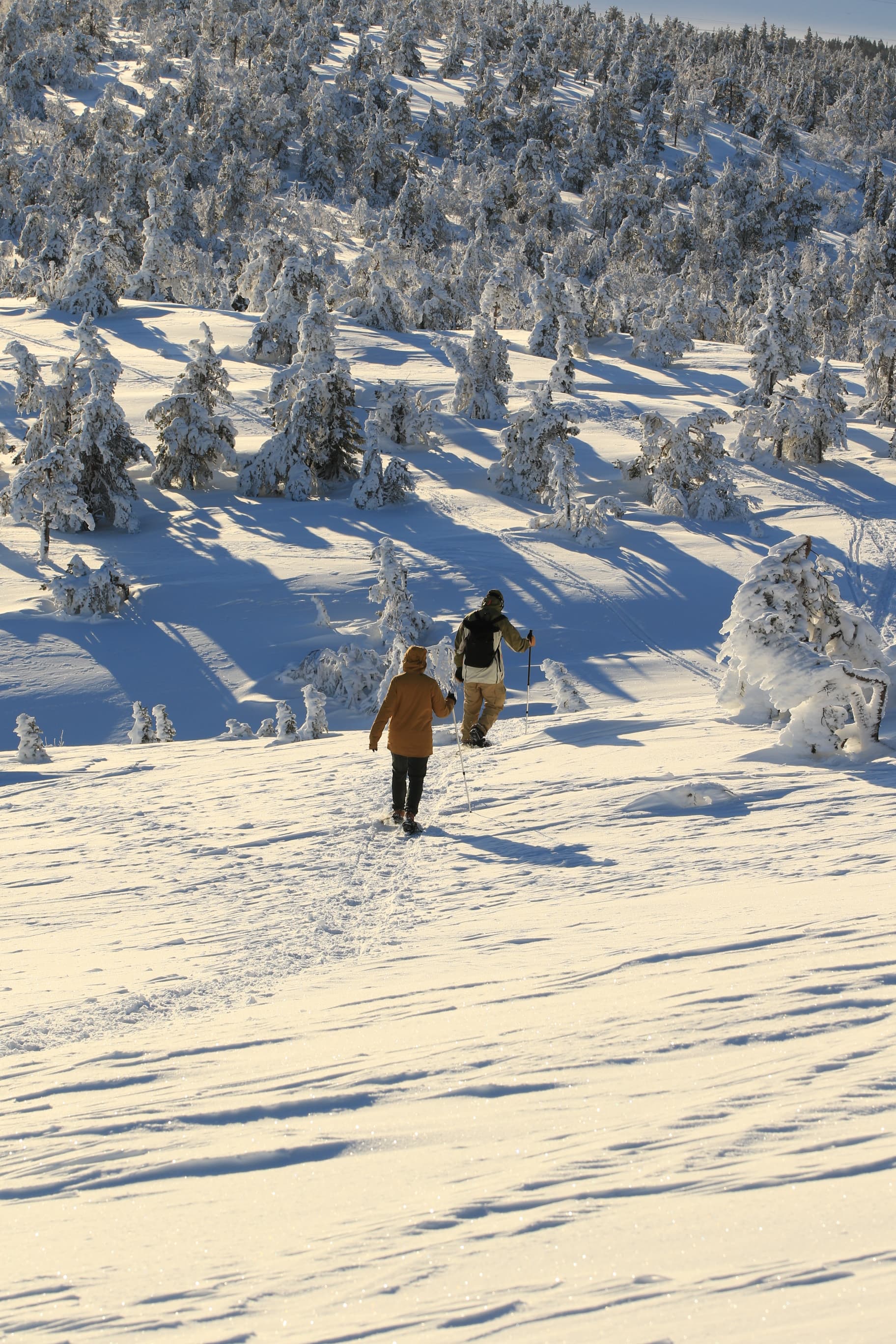 Snowshoe Explorer: Short Journey in Levi