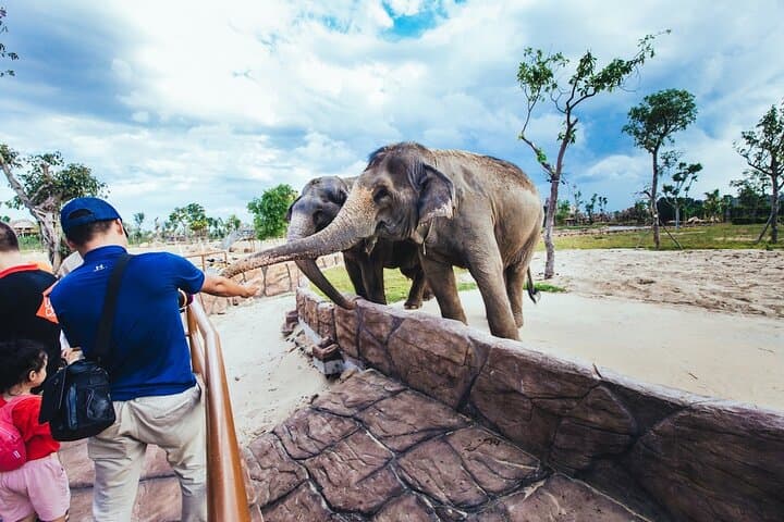 Da Nang: South Hoi An River Safari With Candle-lit Beach Dinner