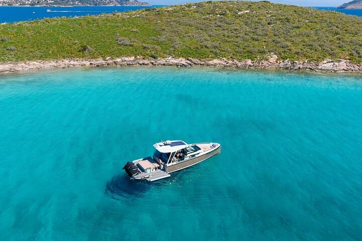 Half Day Private Cruise Mykonos to Delos and Rhenia 