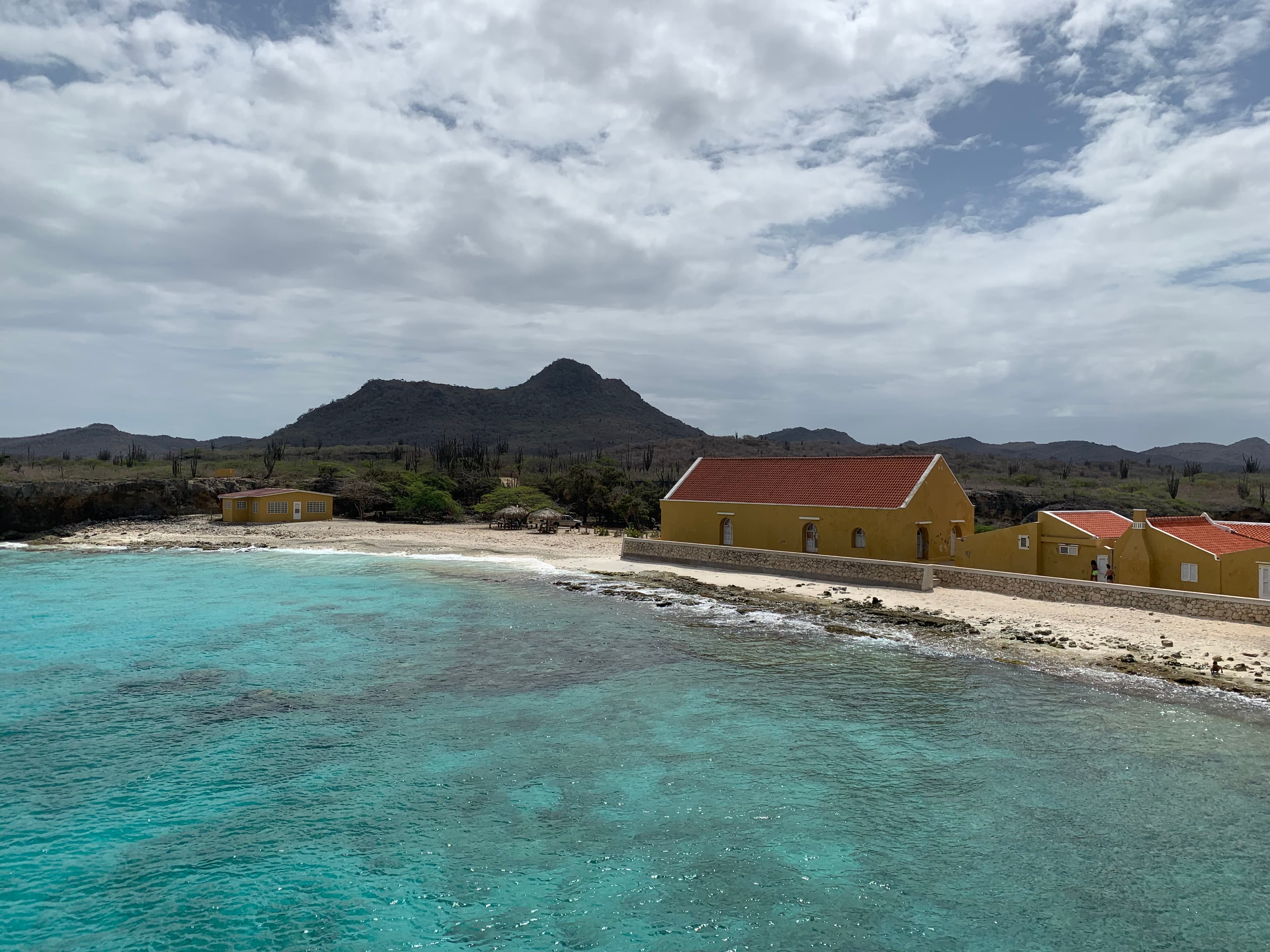 Washington Park Tour with Local Guide