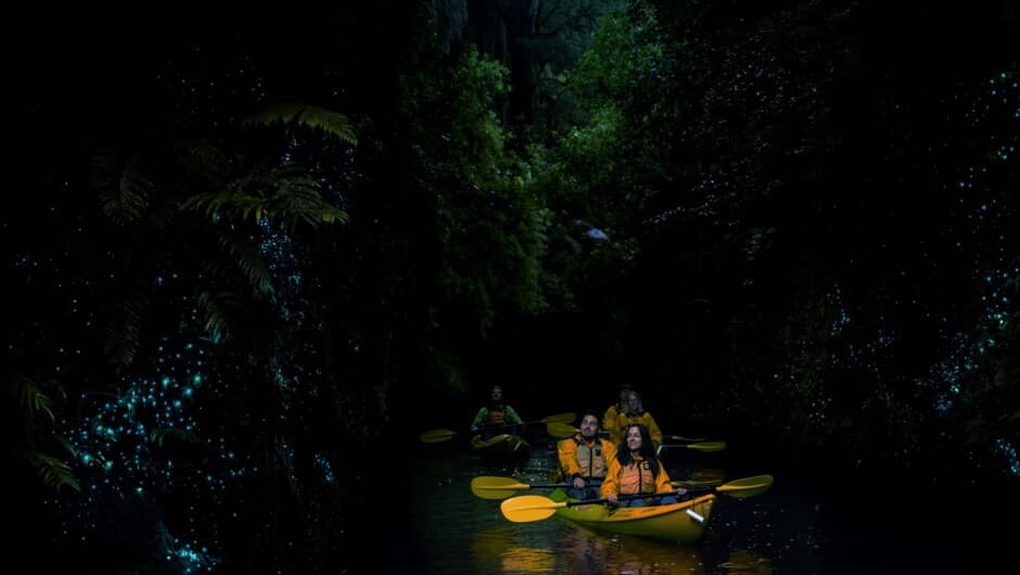  Special Experience, Night Kayak Glowworm Tour 