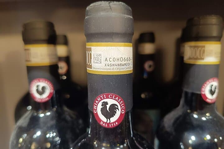 Visit Chianti - 3 Cellars, Lunch Experience & Private Wine Tour