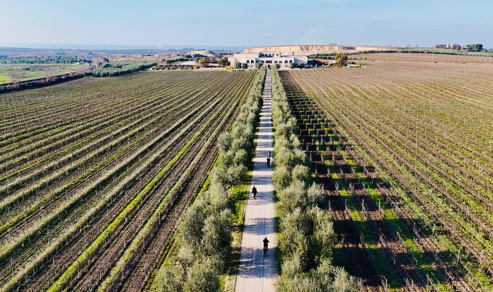 The Bari Heritage Collection: Apulia’s Liquid Gold, Noble Vines & Imperial Stone