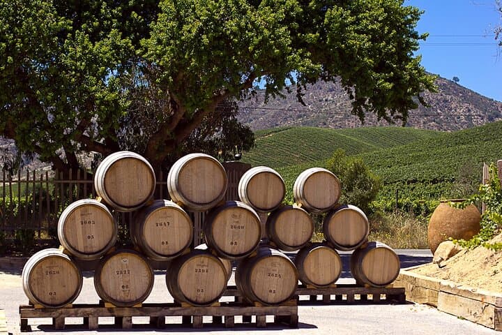 Casablanca Valley Wine Tour with Tastings from Santiago