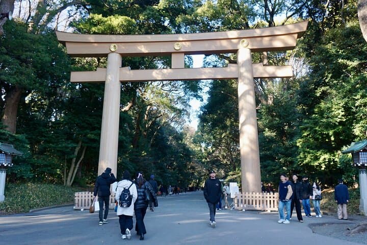Tokyo: Harajuku Meiji Shrine Guided Tour-Discover Shinto