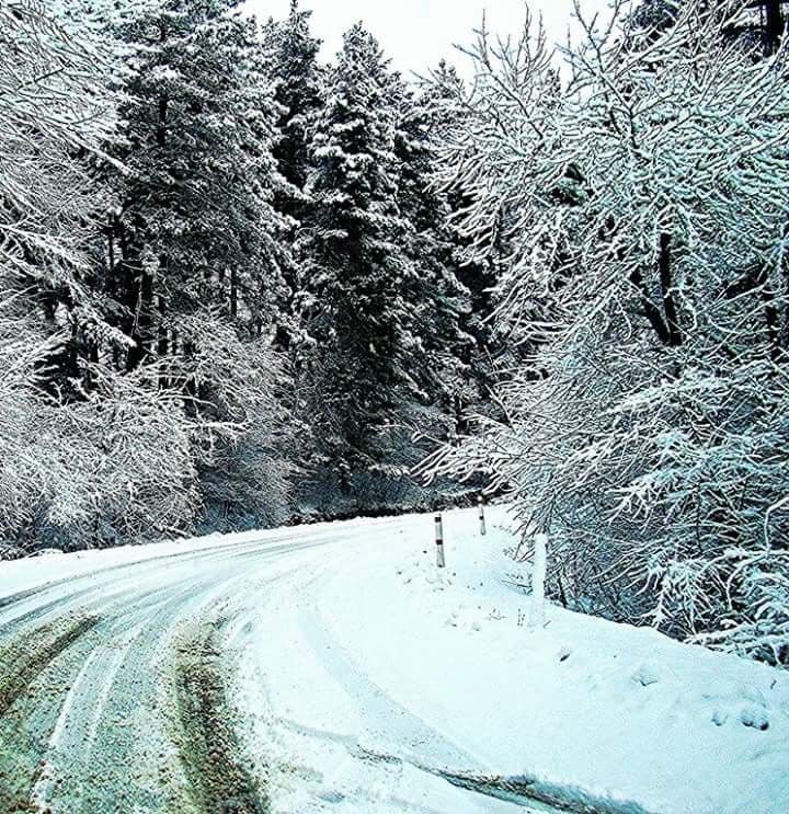 Sabaduri Forest, Sioni Lake & Bear Sanctuary from Tbilisi - TH