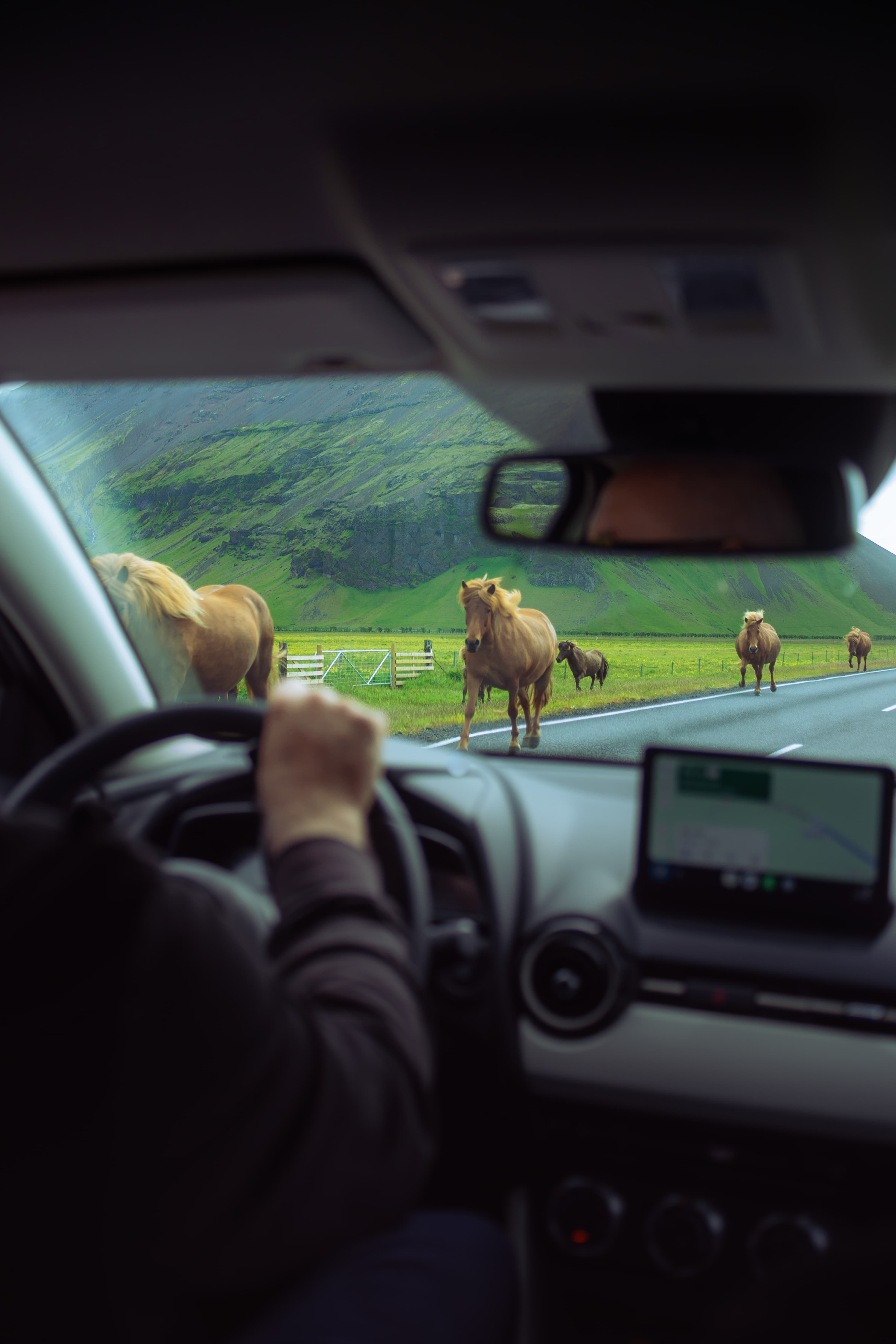 SOUTH COAST & GLACIER HIKE