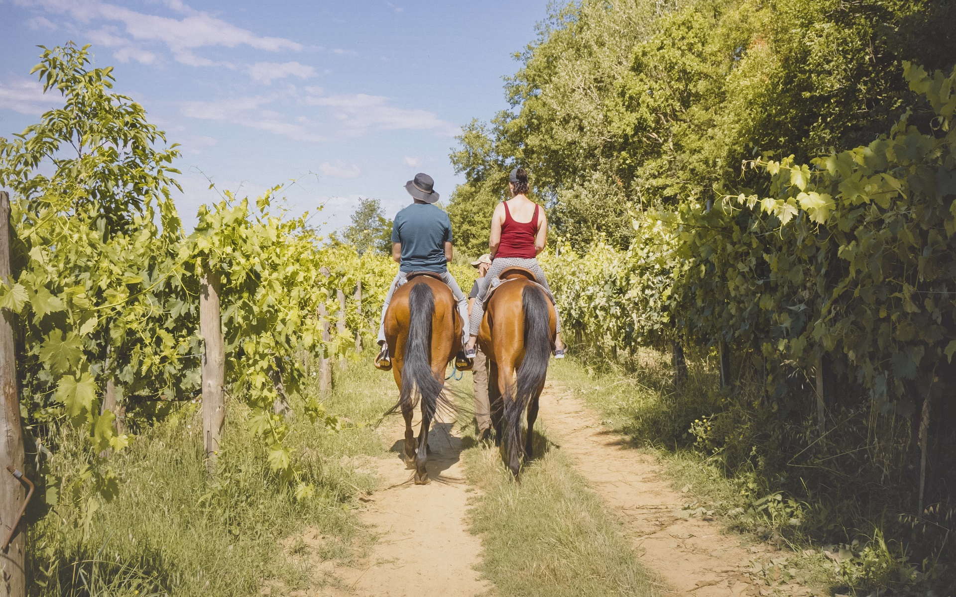 Horseback riding with Tuscan picnic in Valdichiana