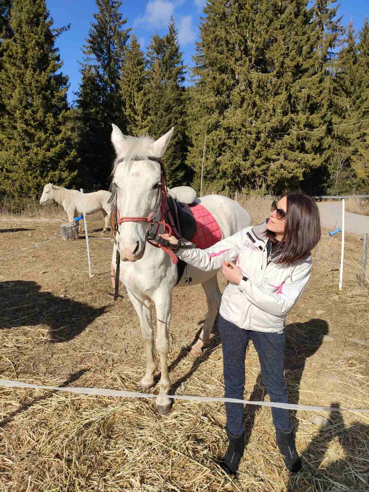 Private Horseback Riding the Rila Range