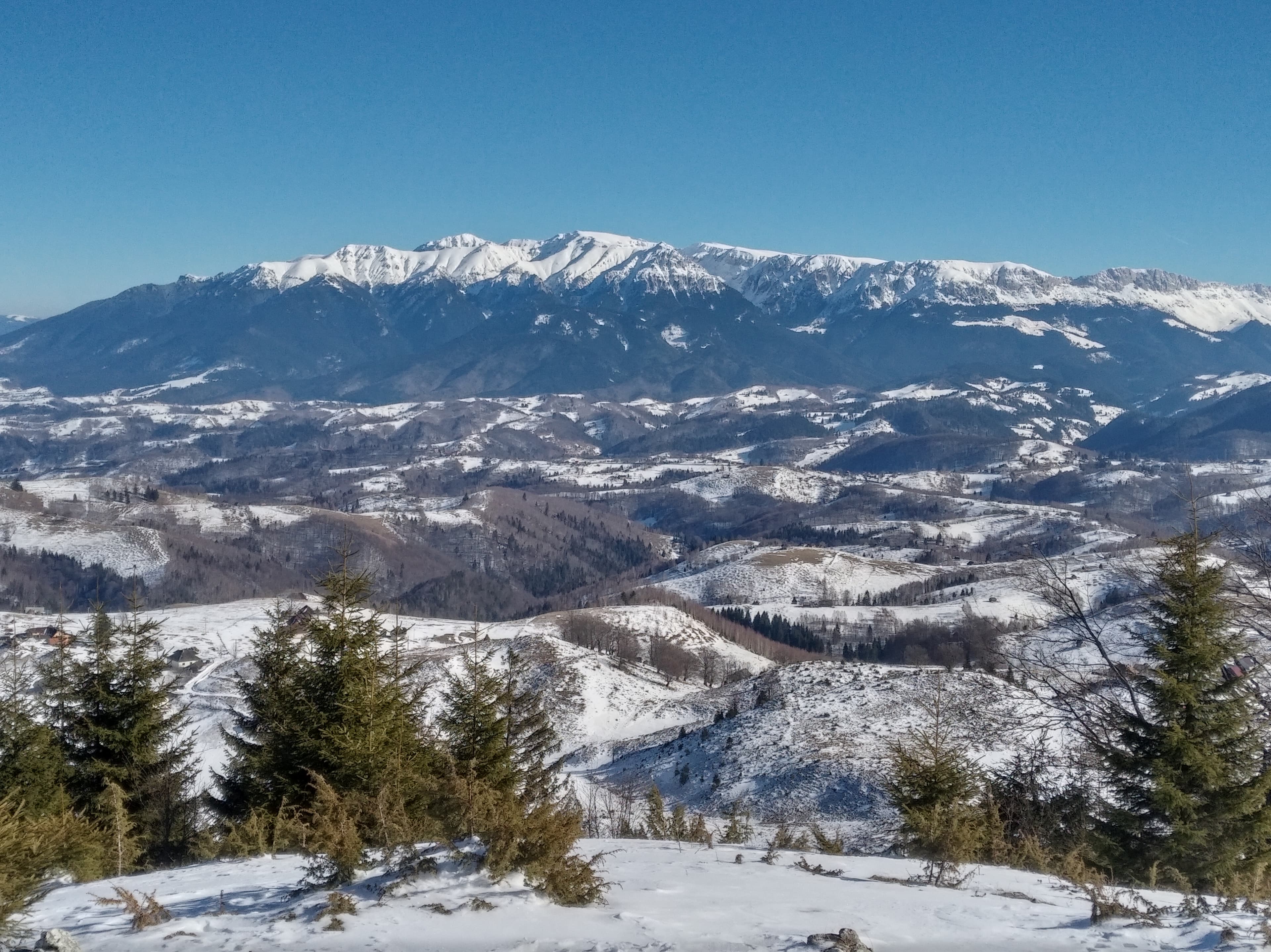 Rambling in Transylvania