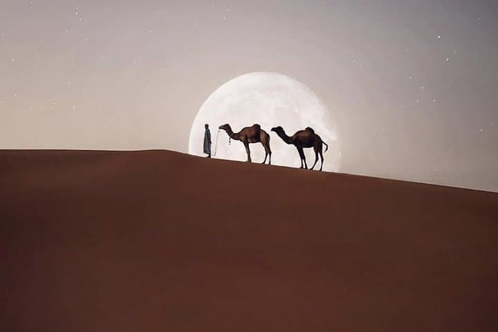 Casablanca : Hire a car with driver and licensed guide 